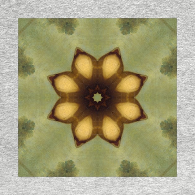 Mandalisa Kaleidoscope [textures] Pattern (Seamless) 1 by Swabcraft